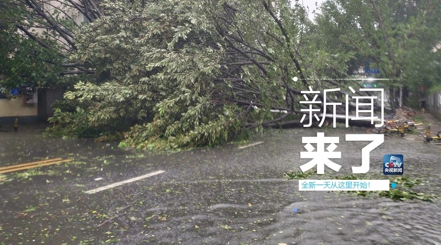 “山竹”怒過(guò)，高空塔吊你還好嗎？
